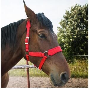NUITRIP Breakaway Horse Adjustable Halter Wool Lining Red NEW Size Small